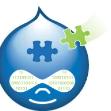 Drupal CMS Projekt Notfall Unterstützung