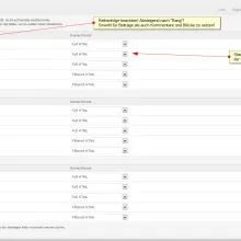Better Formats settings