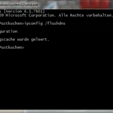 Flush DNS via Windows CMD on DNS-IP Change
